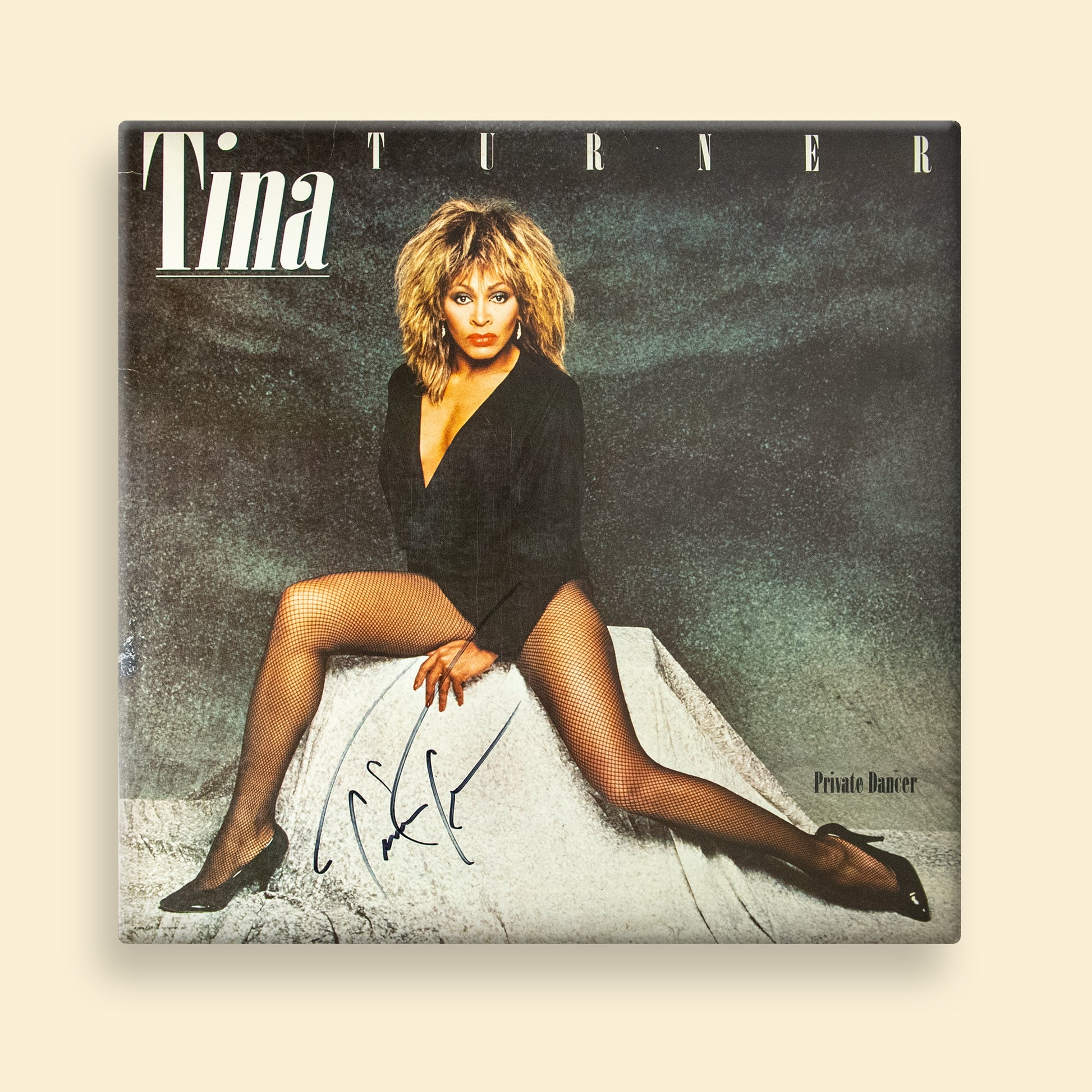 Tina Turner - Private Dancer