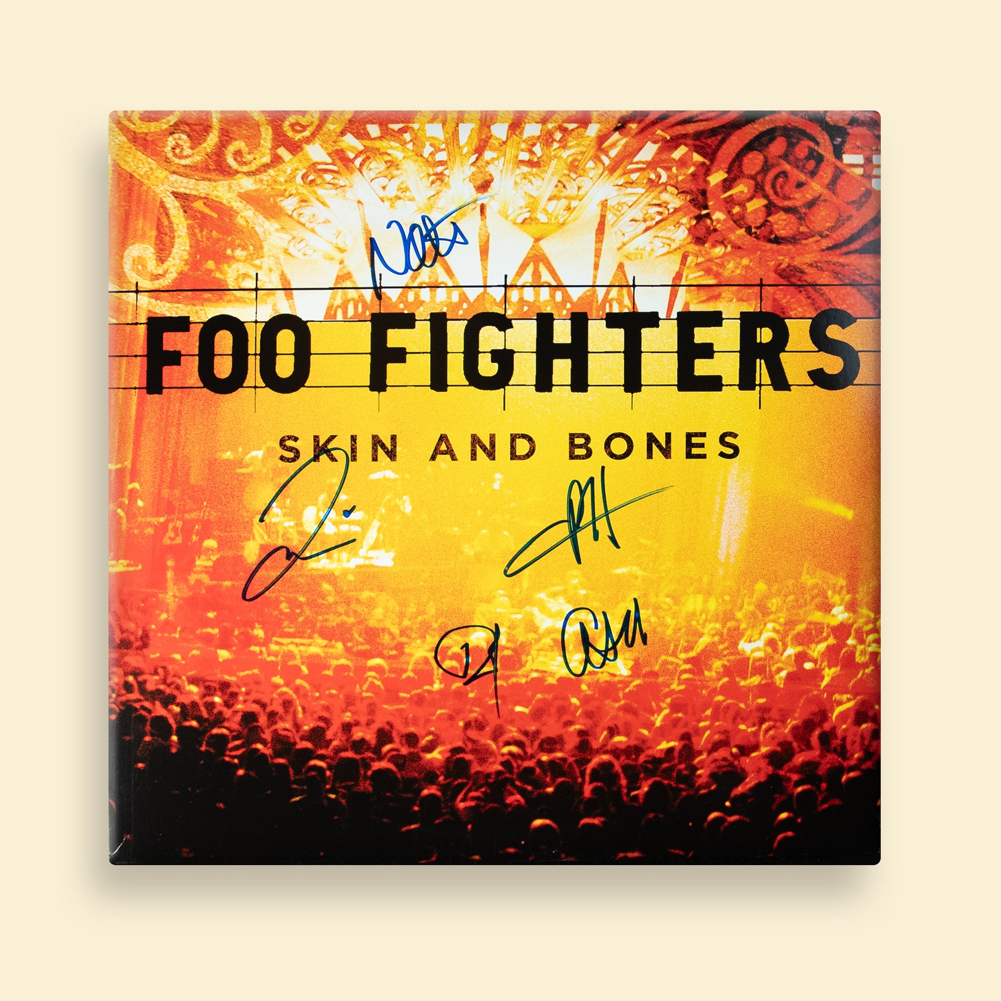 Foo Fighters - Skin And Bones