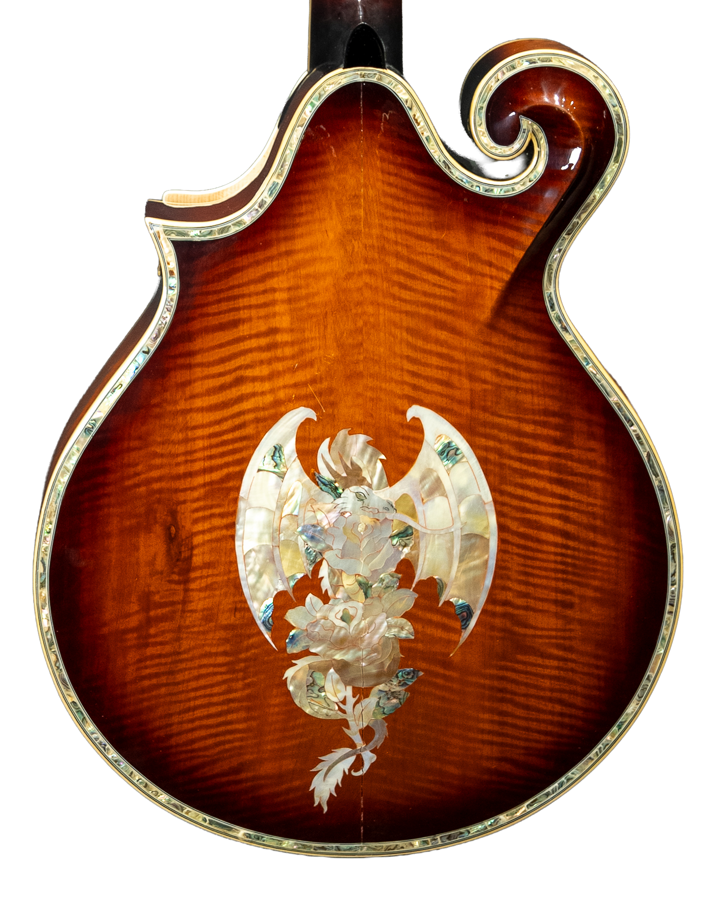 Paul McCartney Unique Guitar