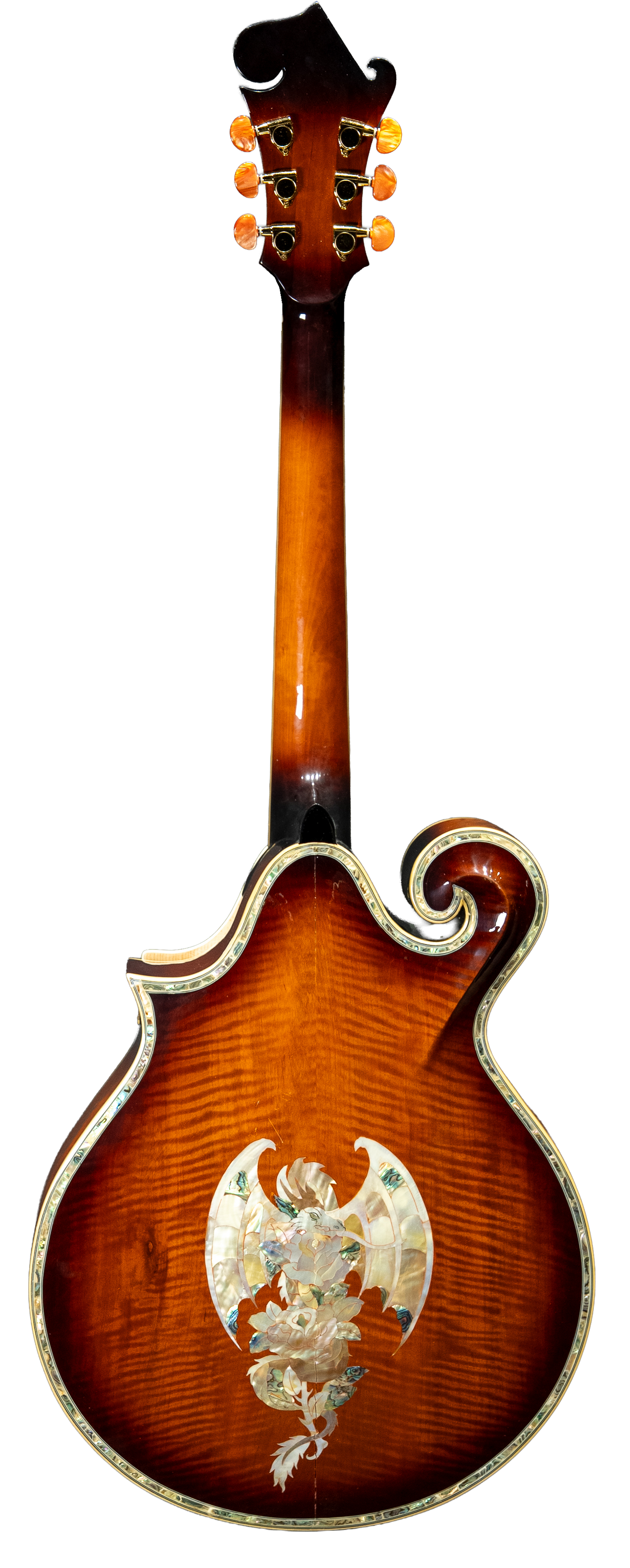 Paul McCartney Unique Guitar
