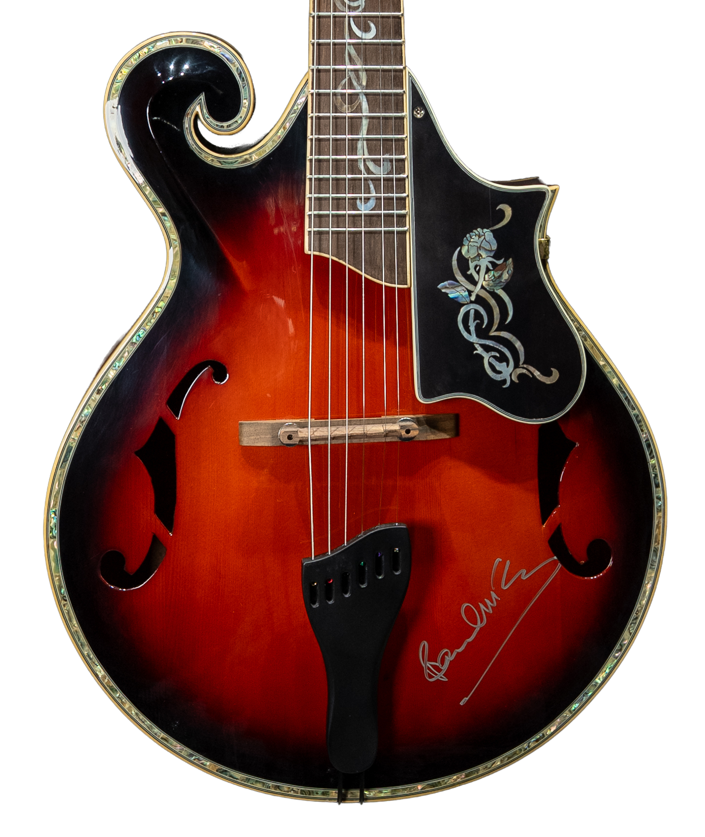 Paul McCartney Unique Guitar