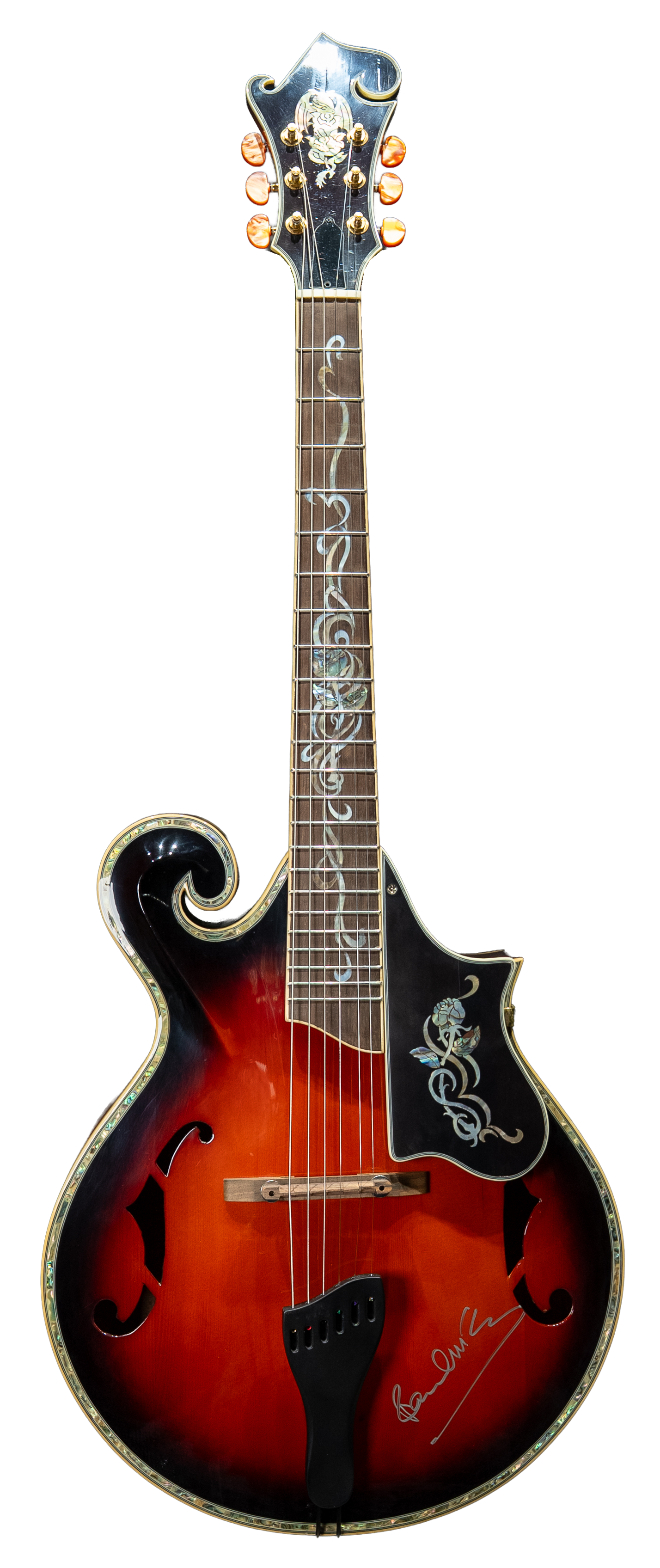 Paul McCartney Unique Guitar