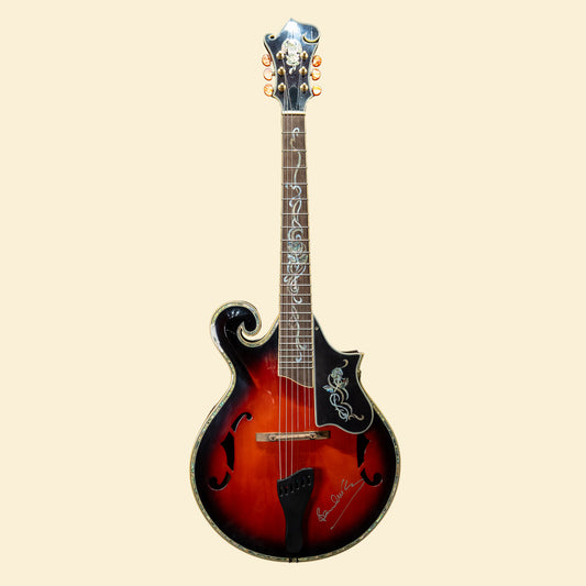 Paul McCartney Unique Guitar